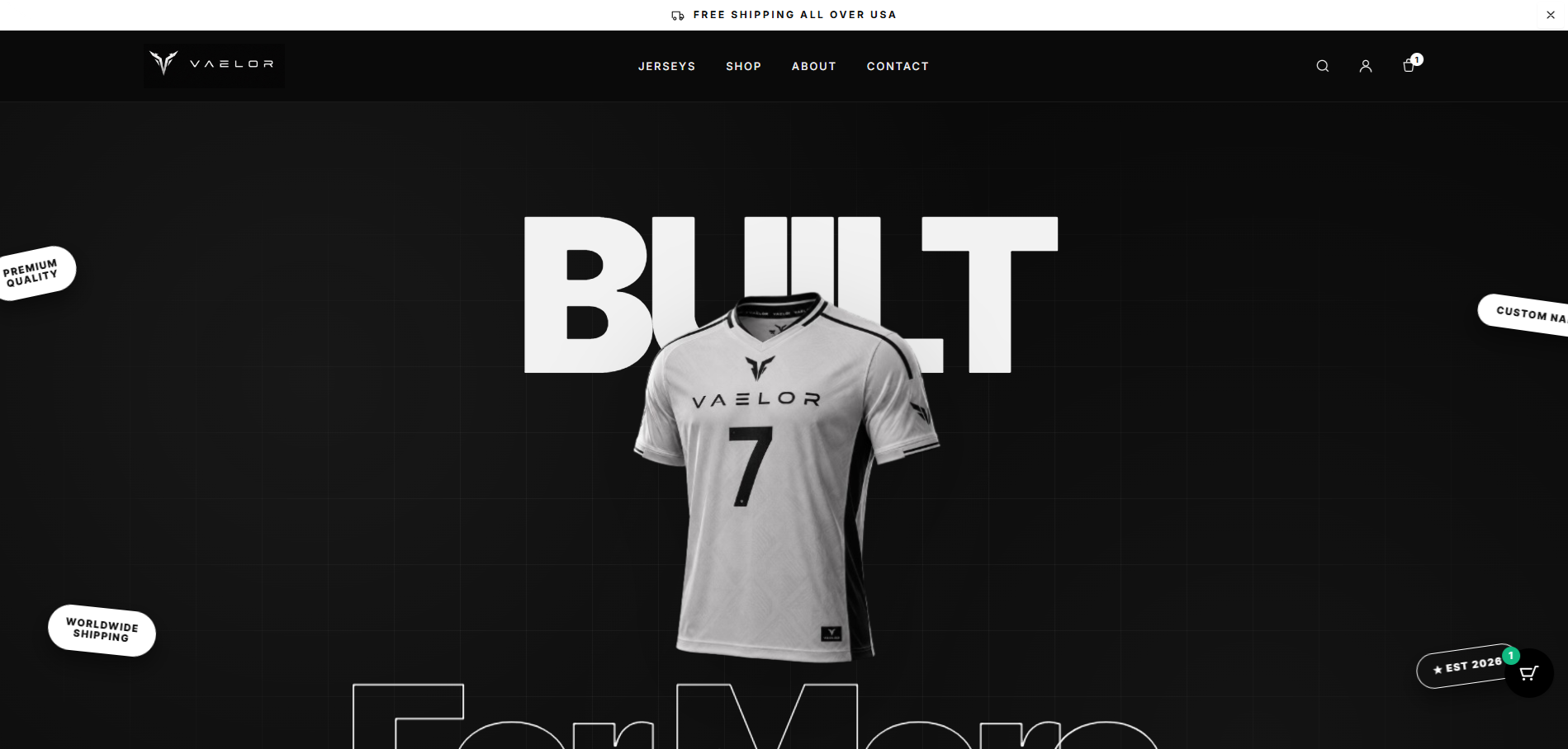 TeamVaelor business website screenshot